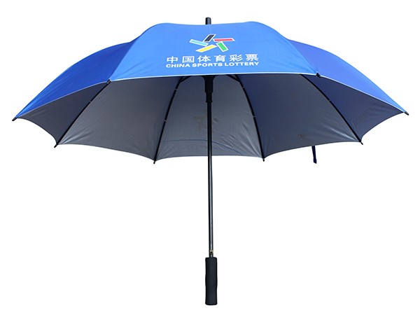 27寸绿巨人视频下载污伞