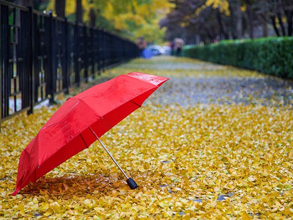 雨伞的保养知识